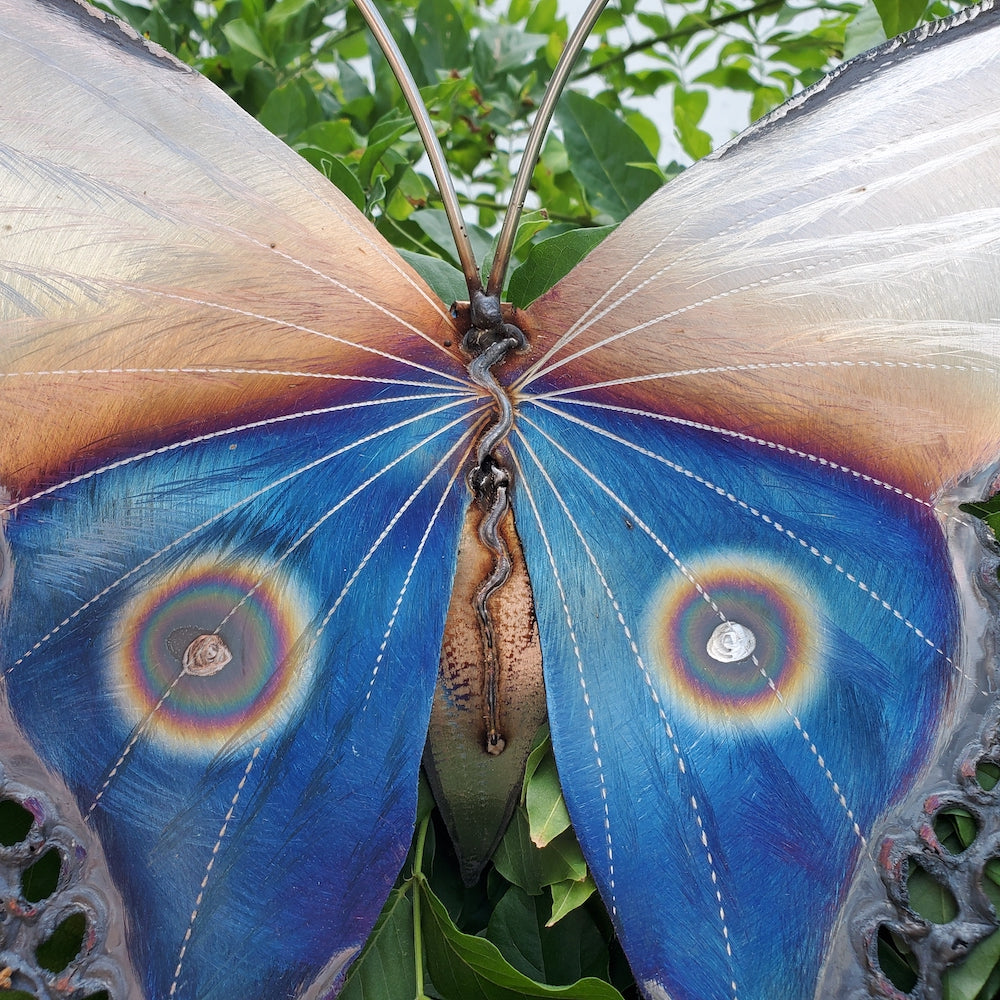 Small Luna Moth Wall Sculpture - Lower Eye Spot - Heart of the Home PA