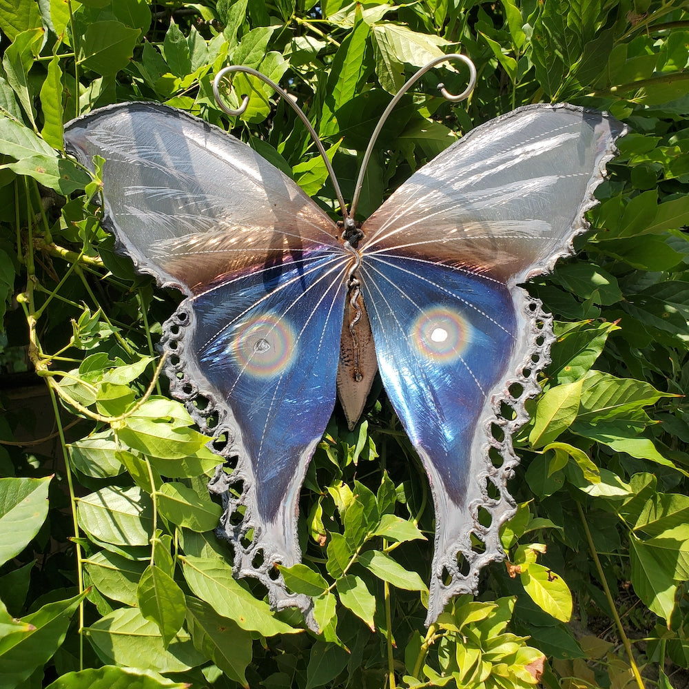 Small Luna Moth Wall Sculpture - Lower Eye Spot - Heart of the Home PA