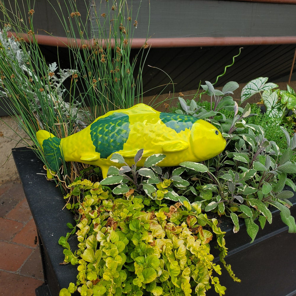 Lime Green Garden Koi - Heart of the Home PA