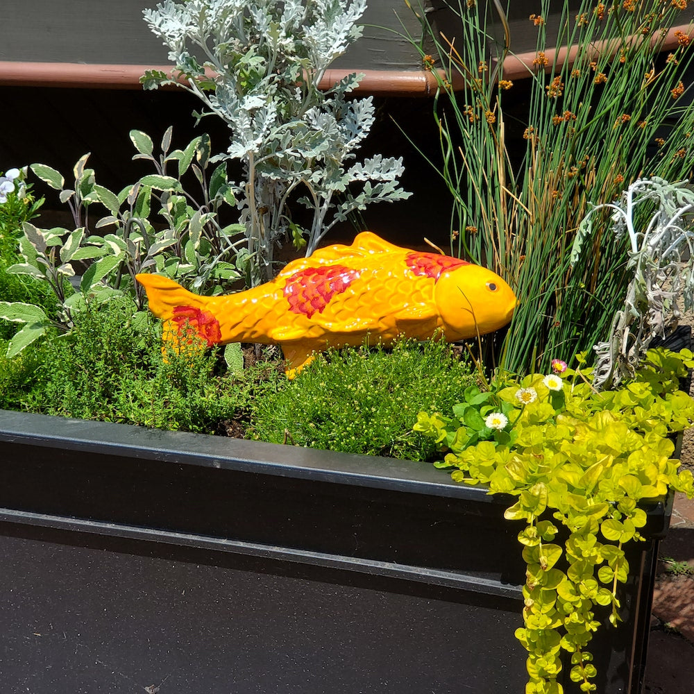 Mandarin Orange Garden Koi - Heart of the Home PA