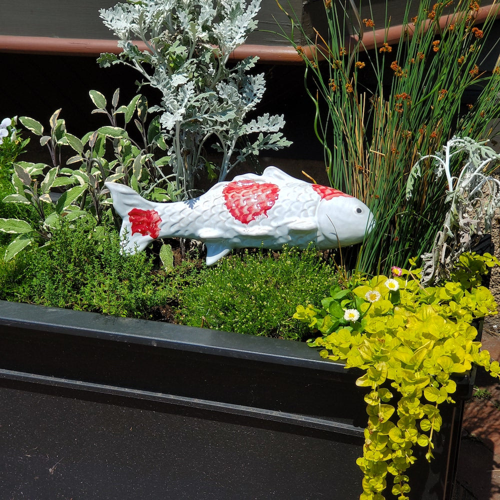 Fuji Red Garden Koi - Heart of the Home PA