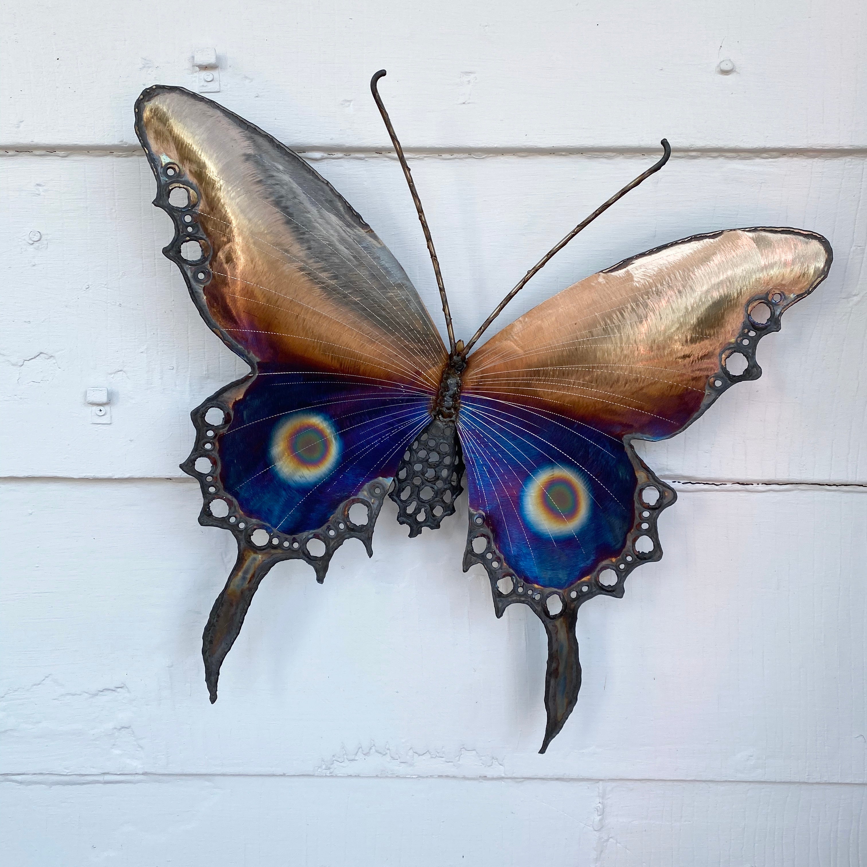 Tiger Butterfly with Spots Medium Wall Sculpture - Heart of the Home PA