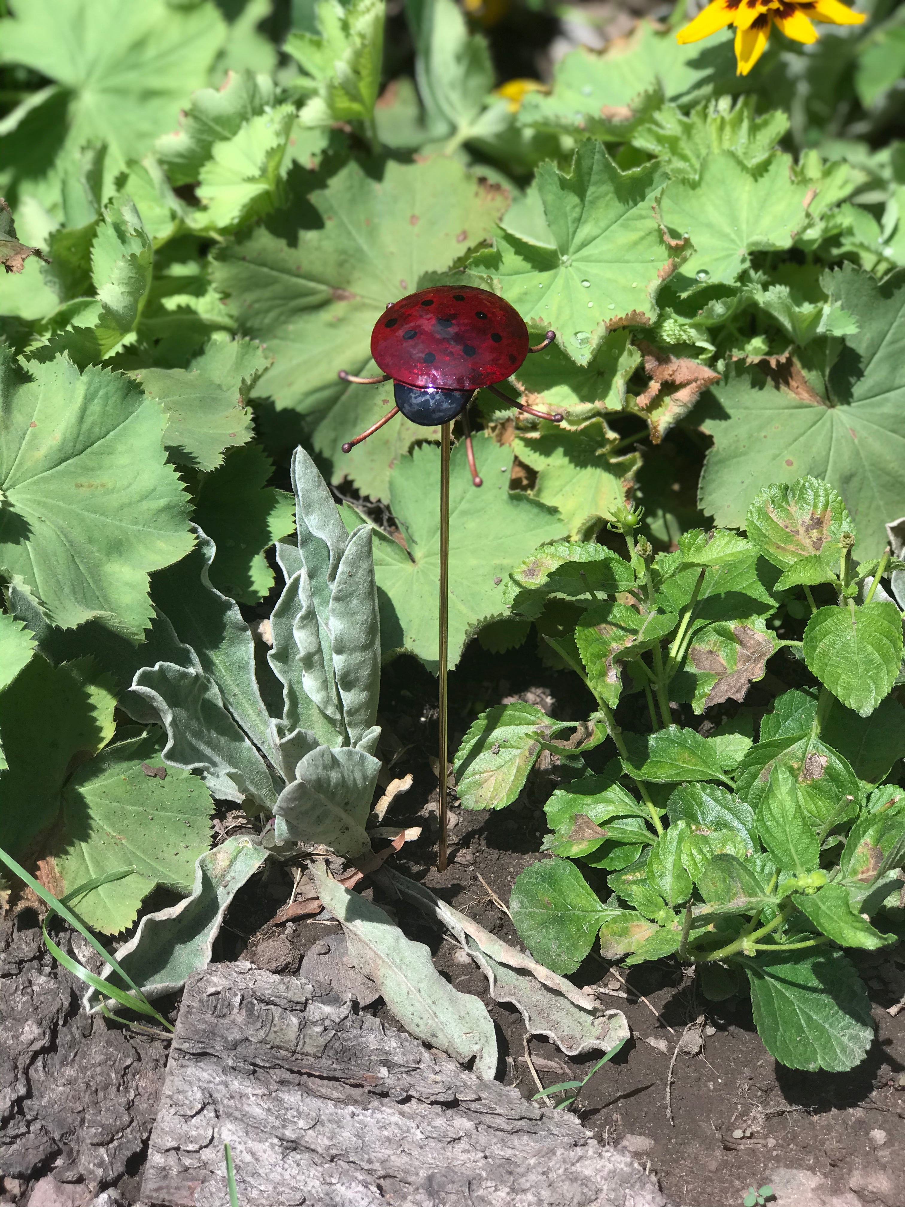 Small Ladybug Garden Stake - Heart of the Home PA