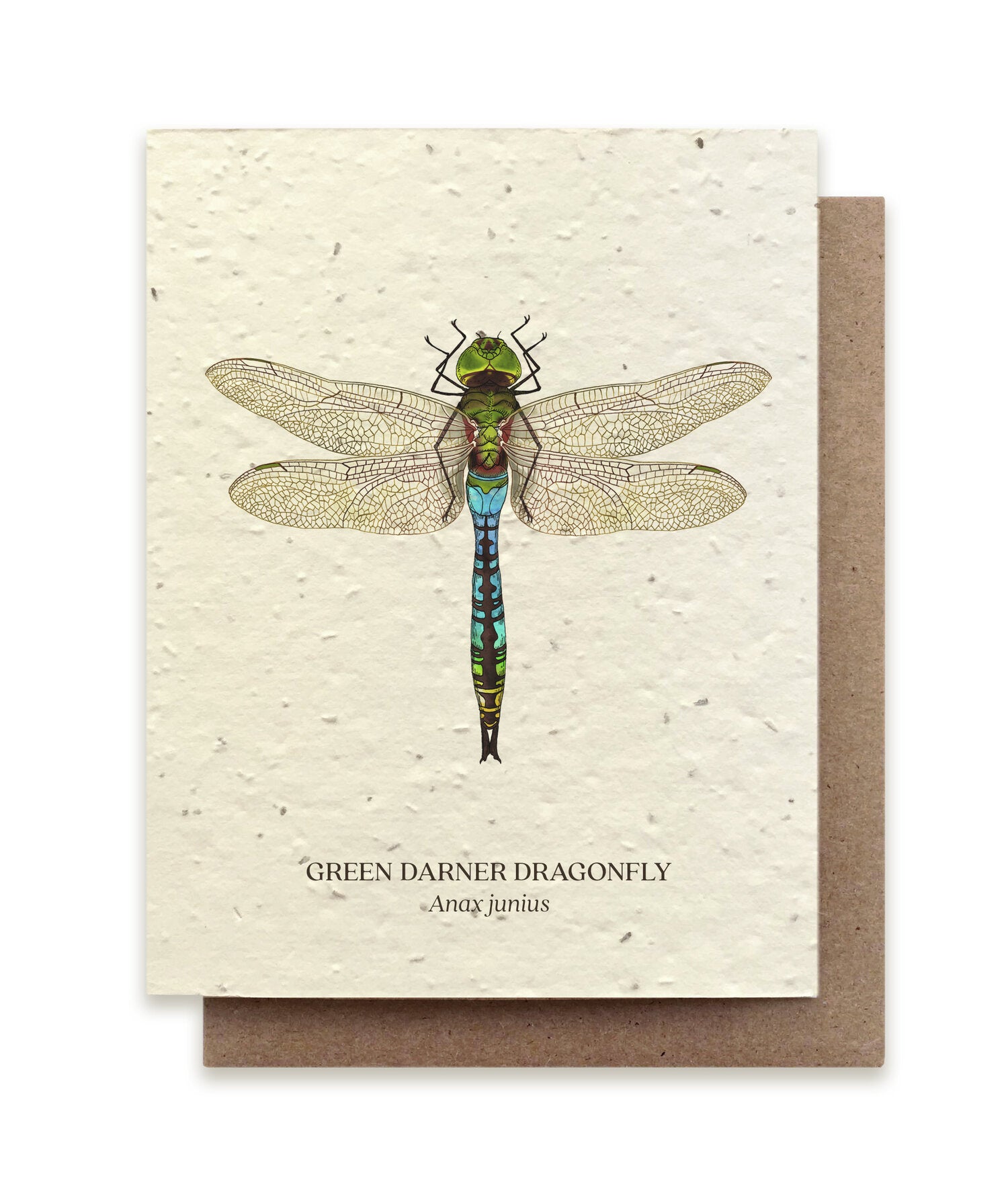 Green Darner Dragonfly Plantable Card - Heart of the Home PA