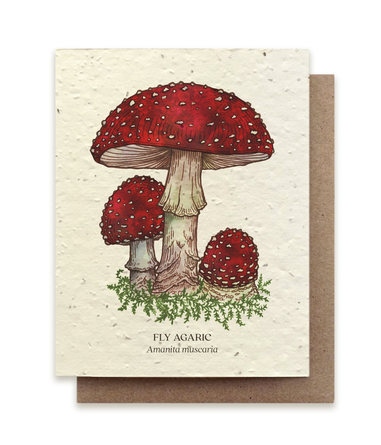 Fly Agaric Mushroom Plantable Card - Heart of the Home PA