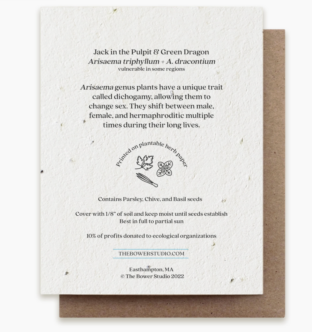 Ladybug Plantable Card - Heart of the Home PA