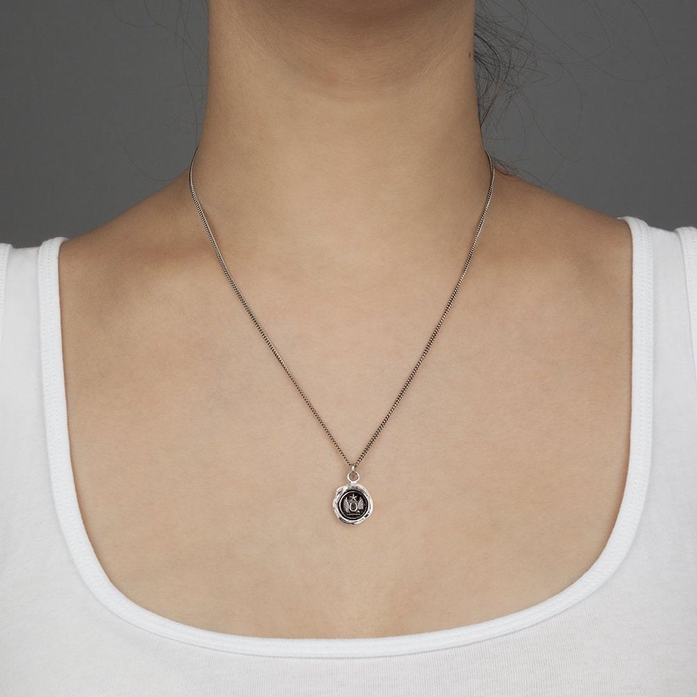 Luck and Protection Talisman - Heart of the Home PA