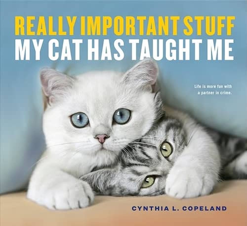 Really Important Stuff My Cat Has Taught Me - Heart of the Home LV