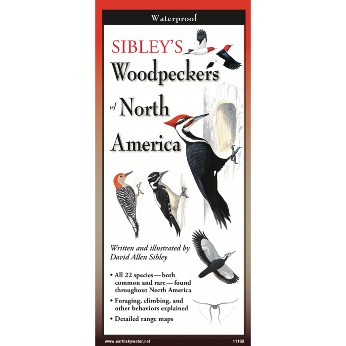 Sibley's Woodpeckers of North America Foldable Guide - Heart of the Home LV