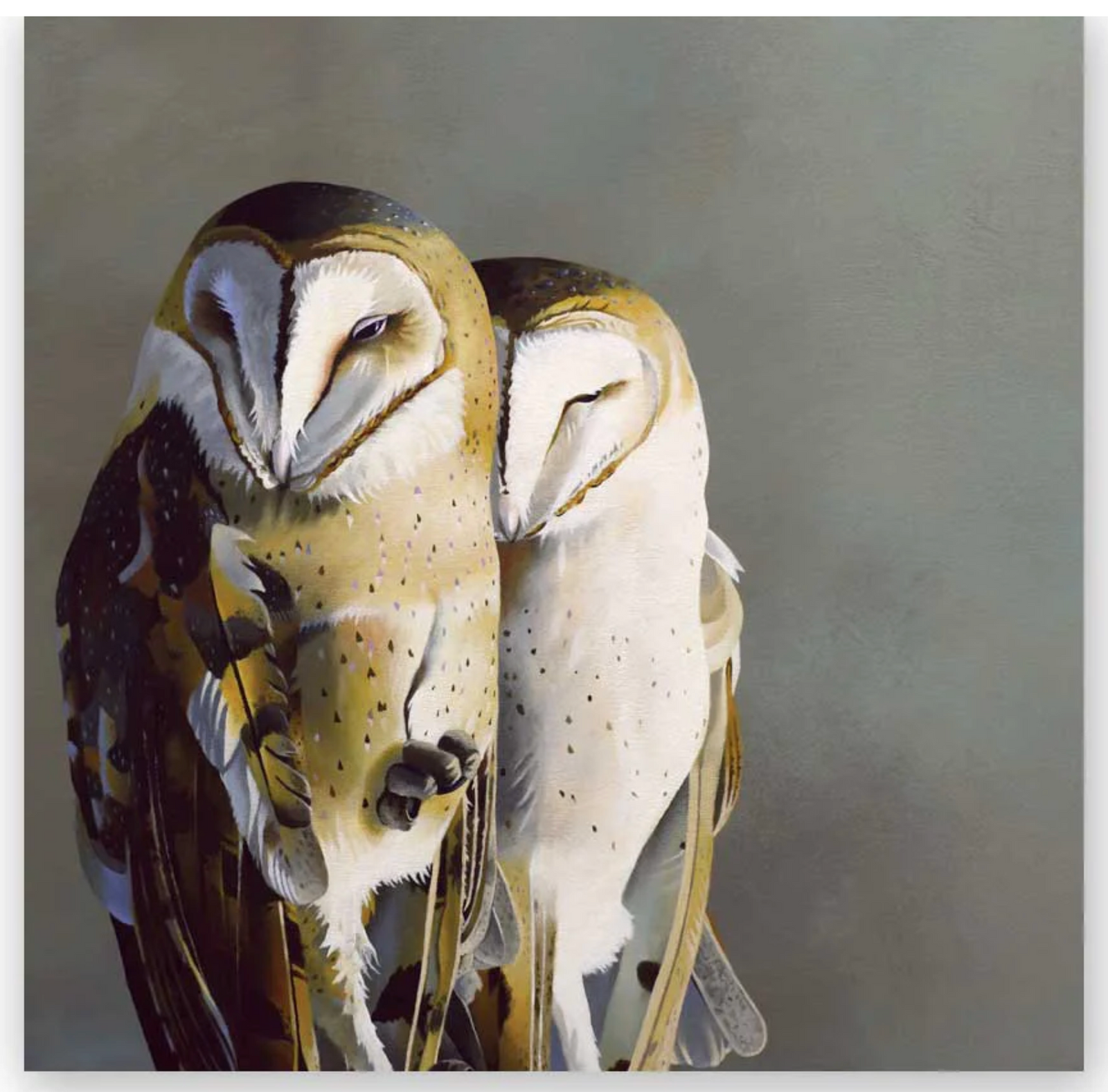Barn Owls Wall Art - Heart of the Home LV