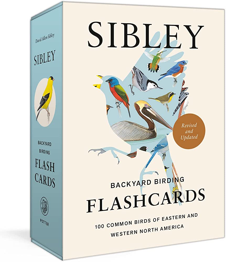 Sibley Backyard Birding Flashcards - Heart of the Home LV