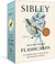 Sibley Backyard Birding Flashcards - Heart of the Home LV