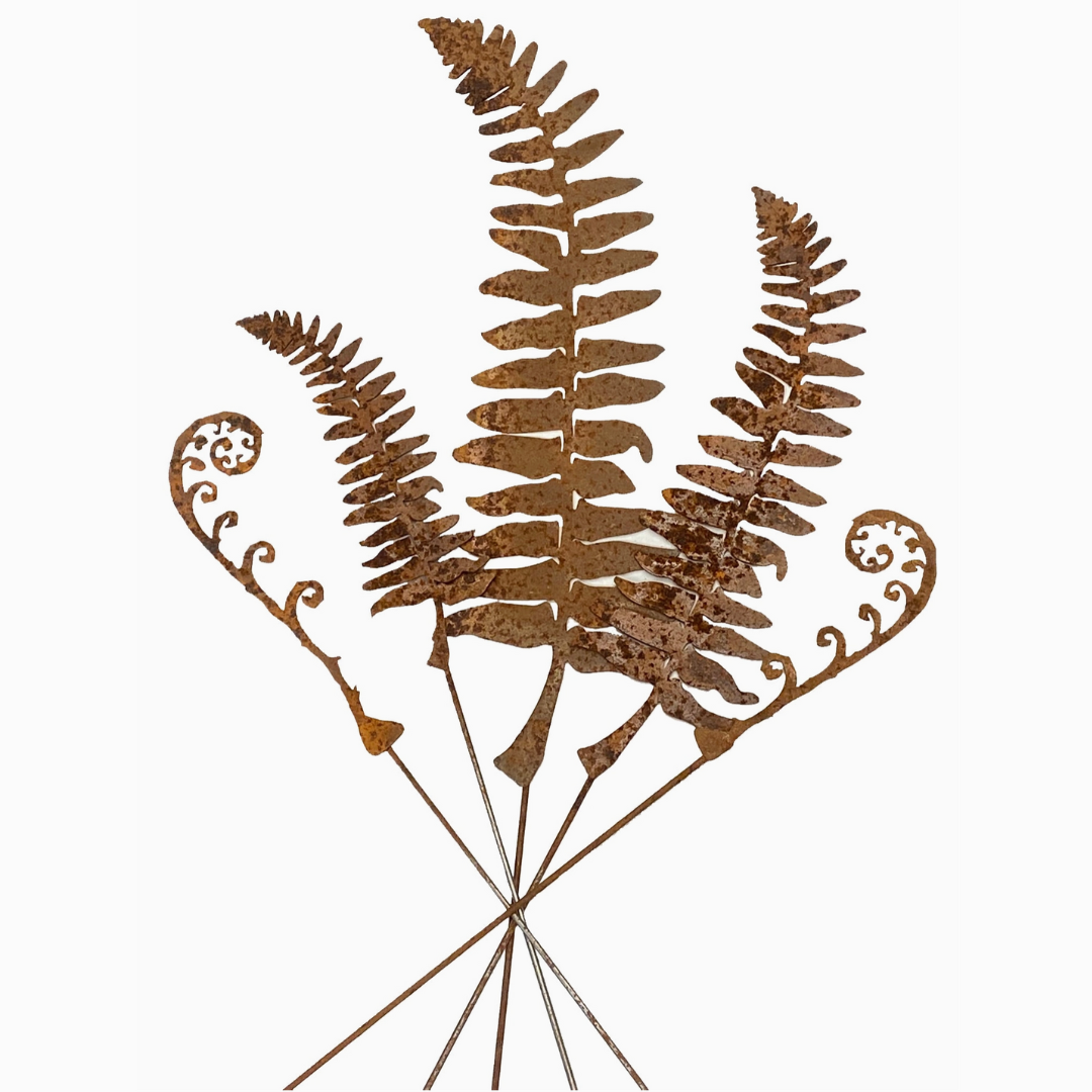 Fern Leaves and Fronds - Heart of the Home Inc