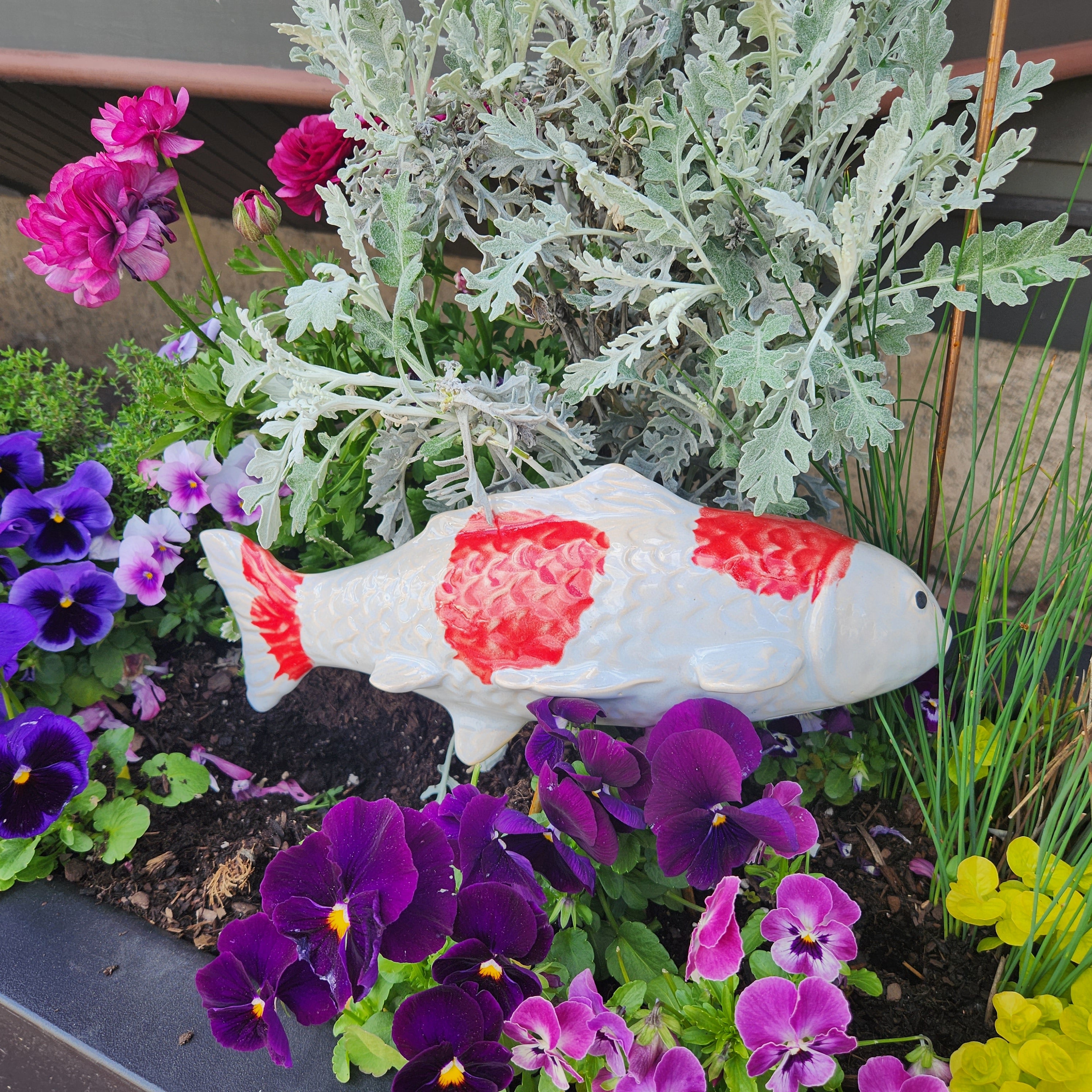 Fuji Red Garden Koi - Heart of the Home LV