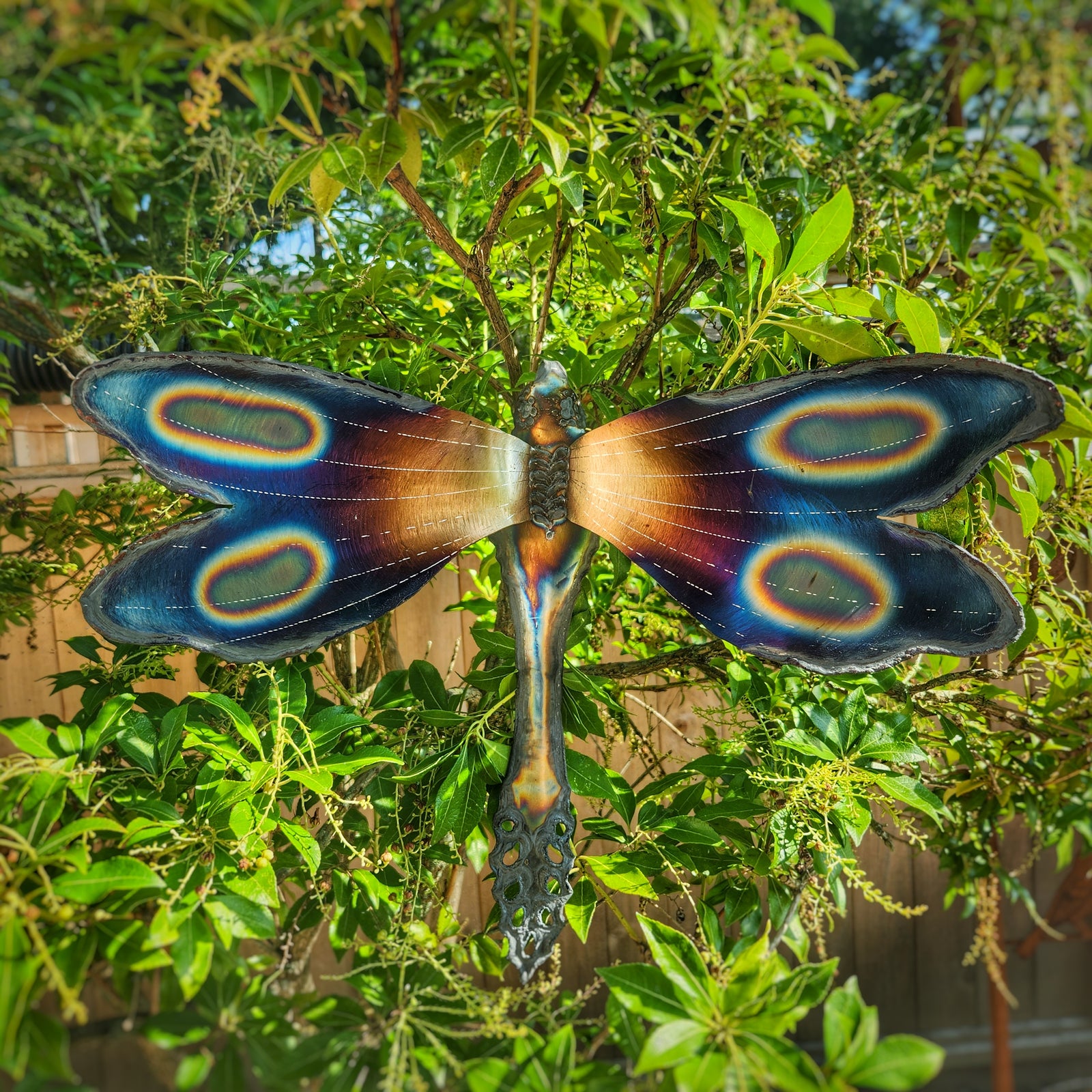 Dragonfly Wall Sculpture - Heart of the Home LV