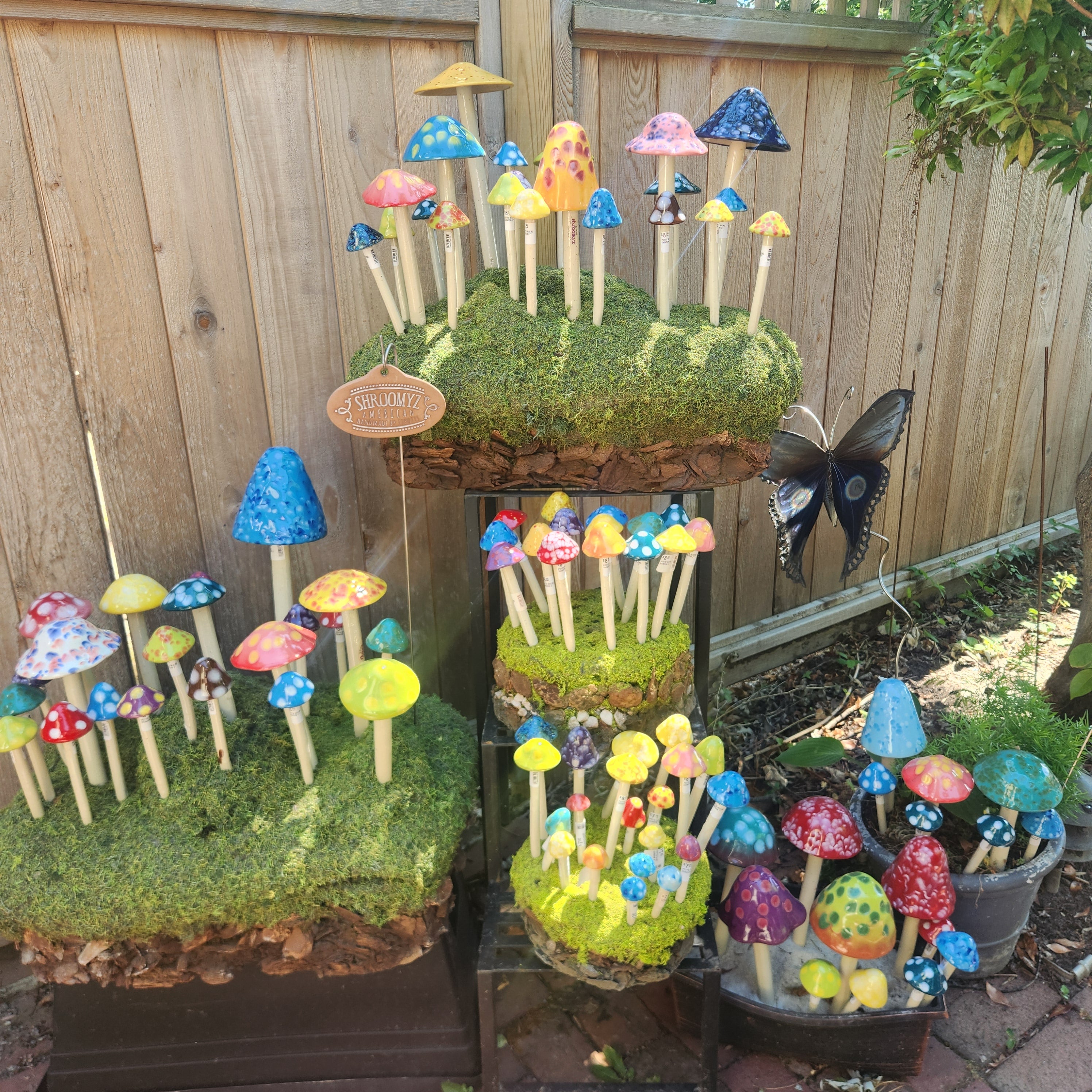 Shroomyz Garden Mushrooms | Heart of the Home Inc