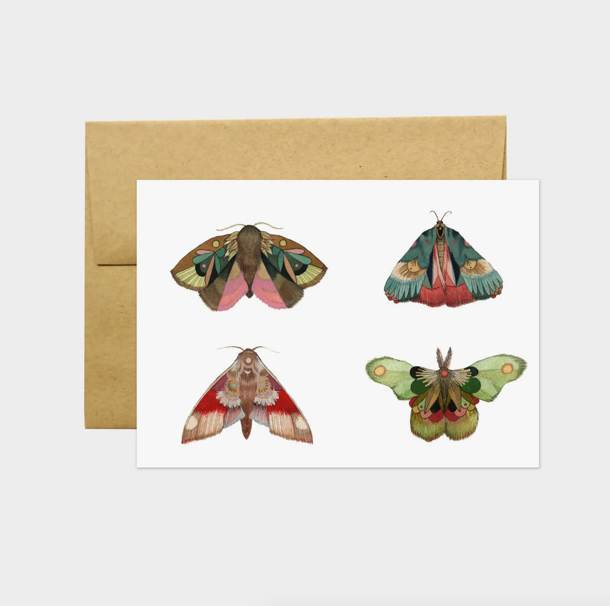 Moths Part II Collector Card - Heart of the Home LV