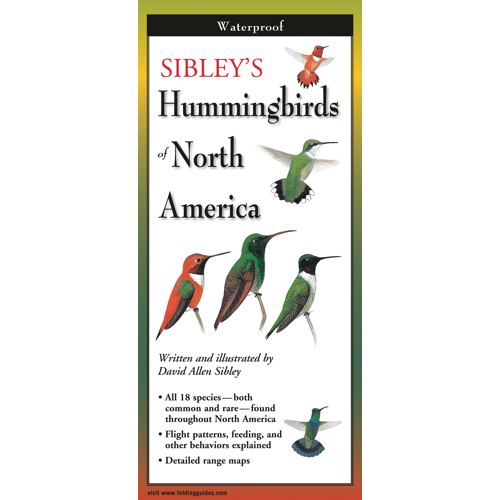 Sibley's Hummingbirds of North America Foldable Guide - Heart of the Home LV