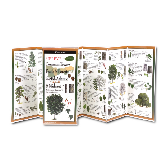 Sibley's Trees of Trails and Forests Foldable Guide - Heart of the Home LV