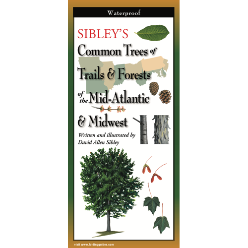 Sibley's Trees of Trails and Forests Foldable Guide - Heart of the Home LV
