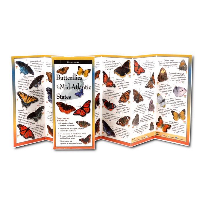 Foldable Guide to Common Butterflies of the Mid-Atlantic - Heart of the Home LV