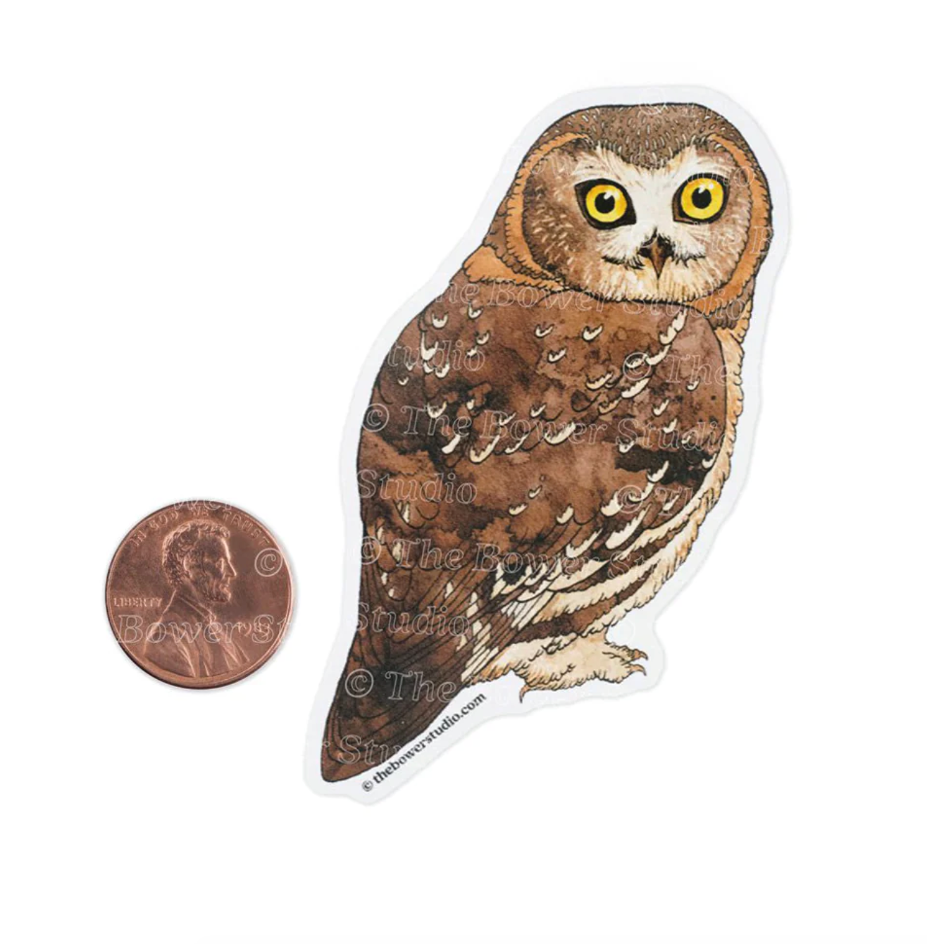 Saw-Whet Owl Eco-Sticker - Heart of the Home LV