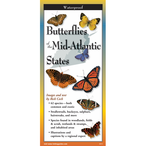 Foldable Guide to Common Butterflies of the Mid-Atlantic - Heart of the Home LV