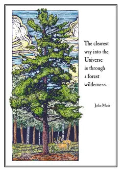 White Pine Friendship Card - Heart of the Home LV