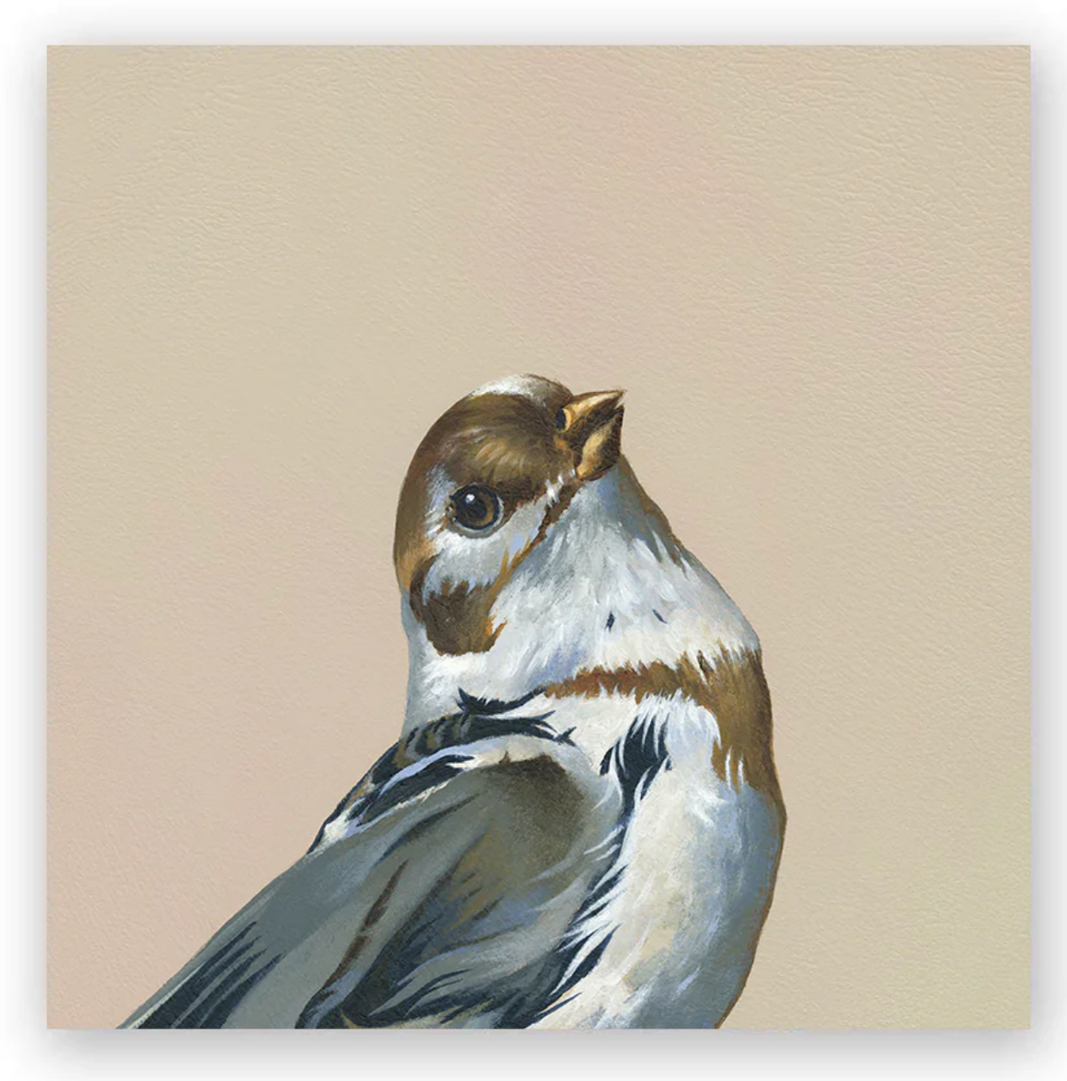 Snow Bunting Wall Art - Heart of the Home LV