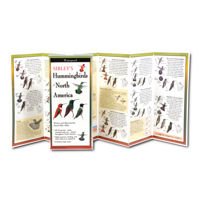 Sibley&#39;s Hummingbirds of North America Foldable Guide - Heart of the Home LV