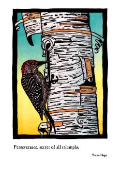Red-Bellied Woodpecker Card - Heart of the Home LV