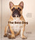 The Best Dog Book - Heart of the Home LV