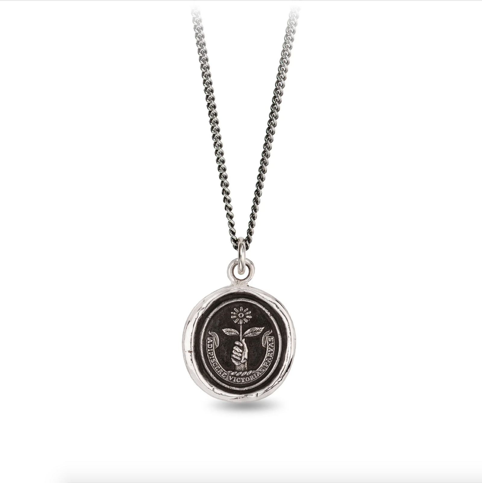 Tiny Victories Talisman - Heart of the Home PA