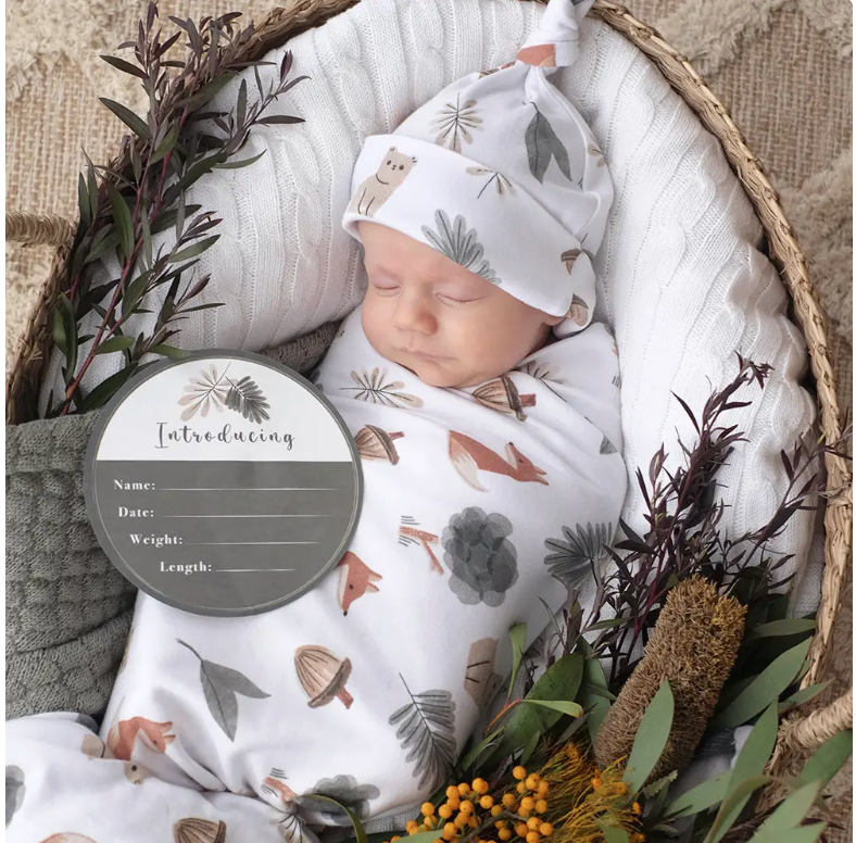 Hello World Gift Set - Forest Retreat - Heart of the Home Inc