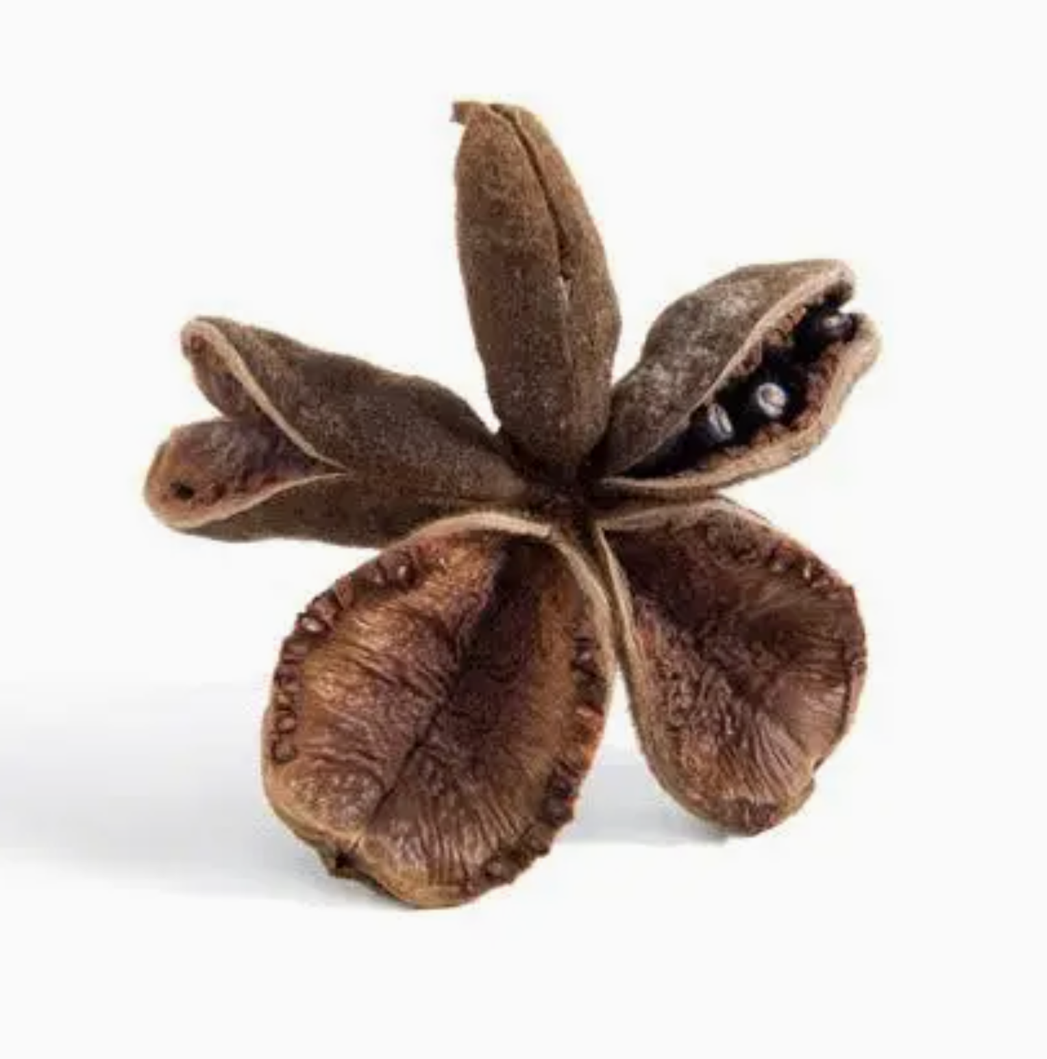 Warm Peony Double Branch Cuff - Heart of the Home Inc