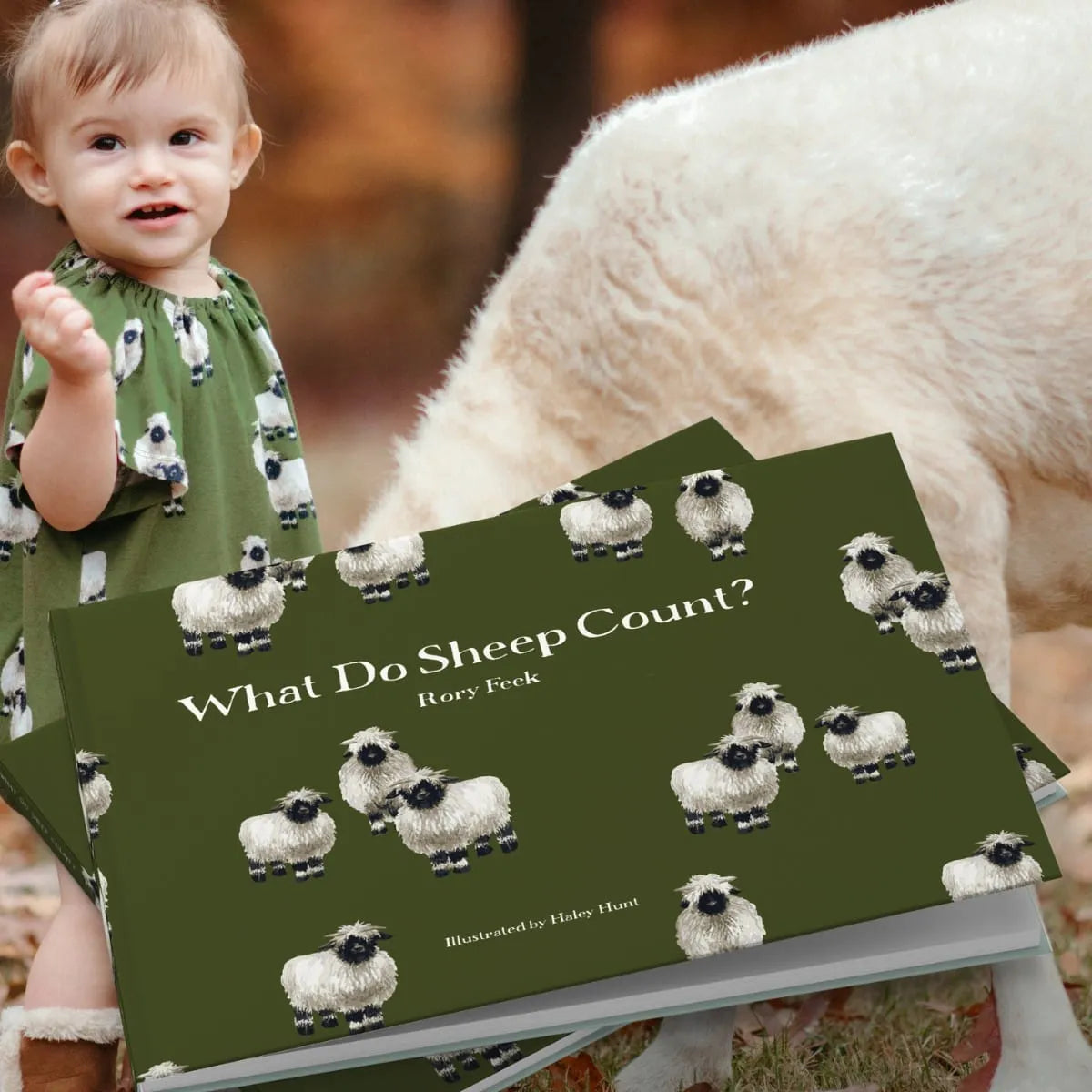 What Do Sheep Count Book - Heart of the Home Inc