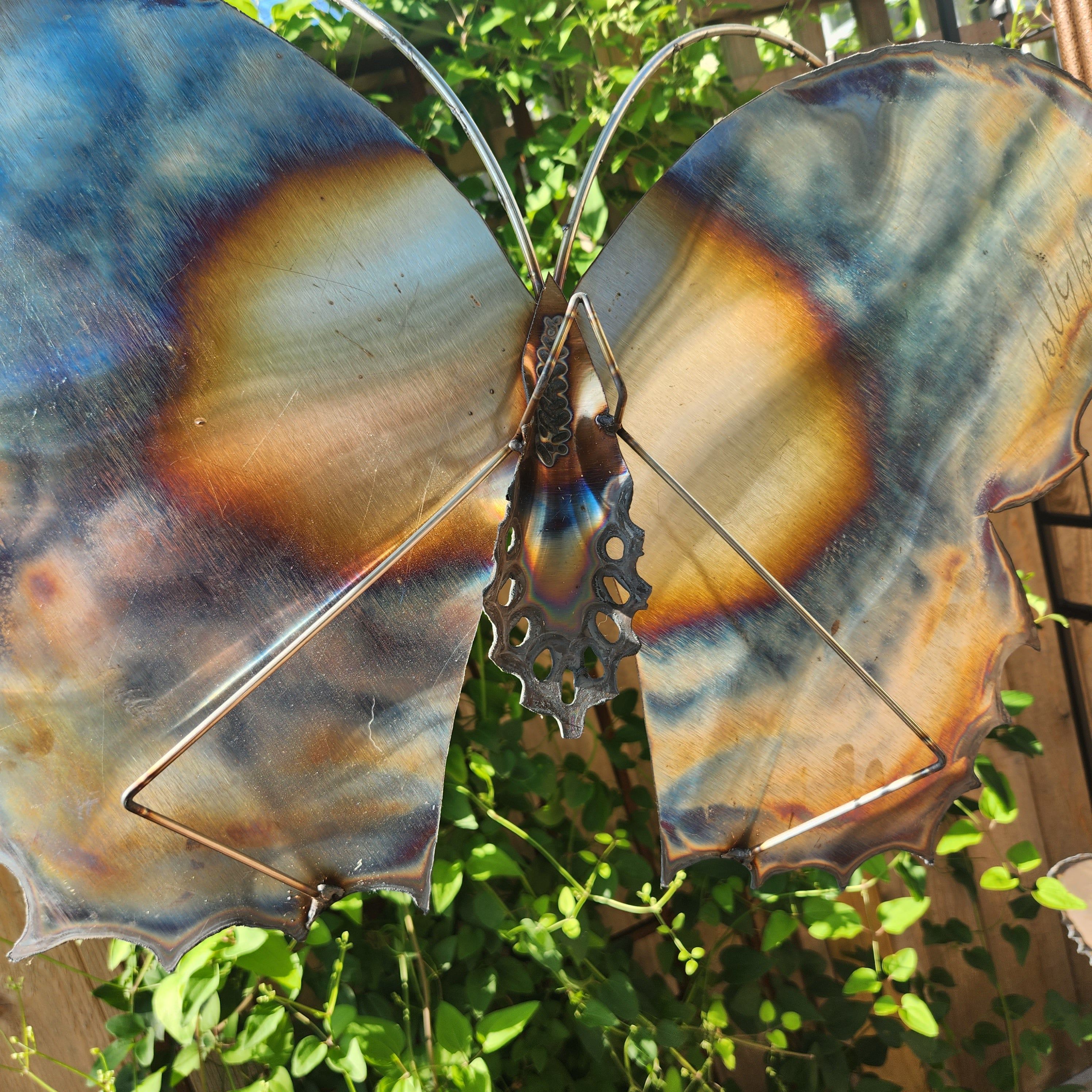 Ombre Scalloped Rainbow Butterfly Large Wall Sculpture - Heart of the Home LV