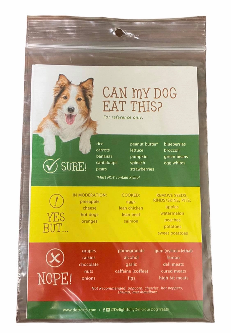 Dog Safe/Unsafe Foods Magnet - Heart of the Home Inc