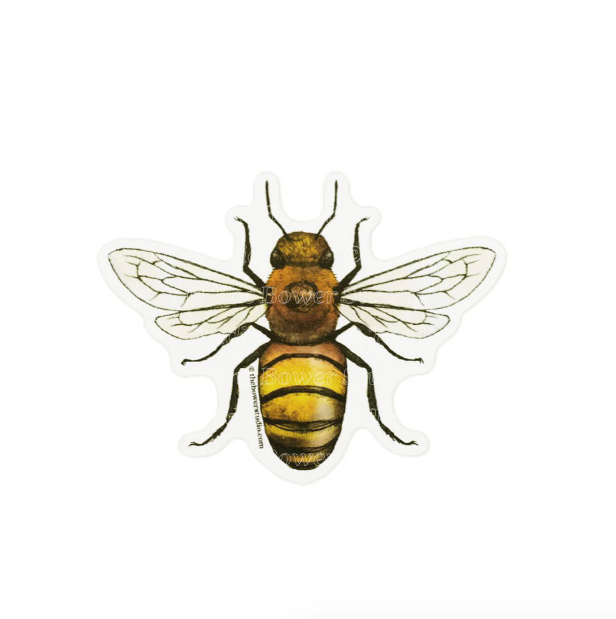 Honey Bee Eco-Sticker - Heart of the Home LV