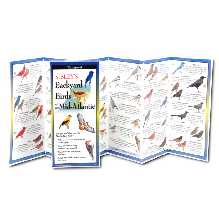 Sibley&#39;s Backyard Birds of the Mid-Atlantic Foldable Guide - Heart of the Home LV