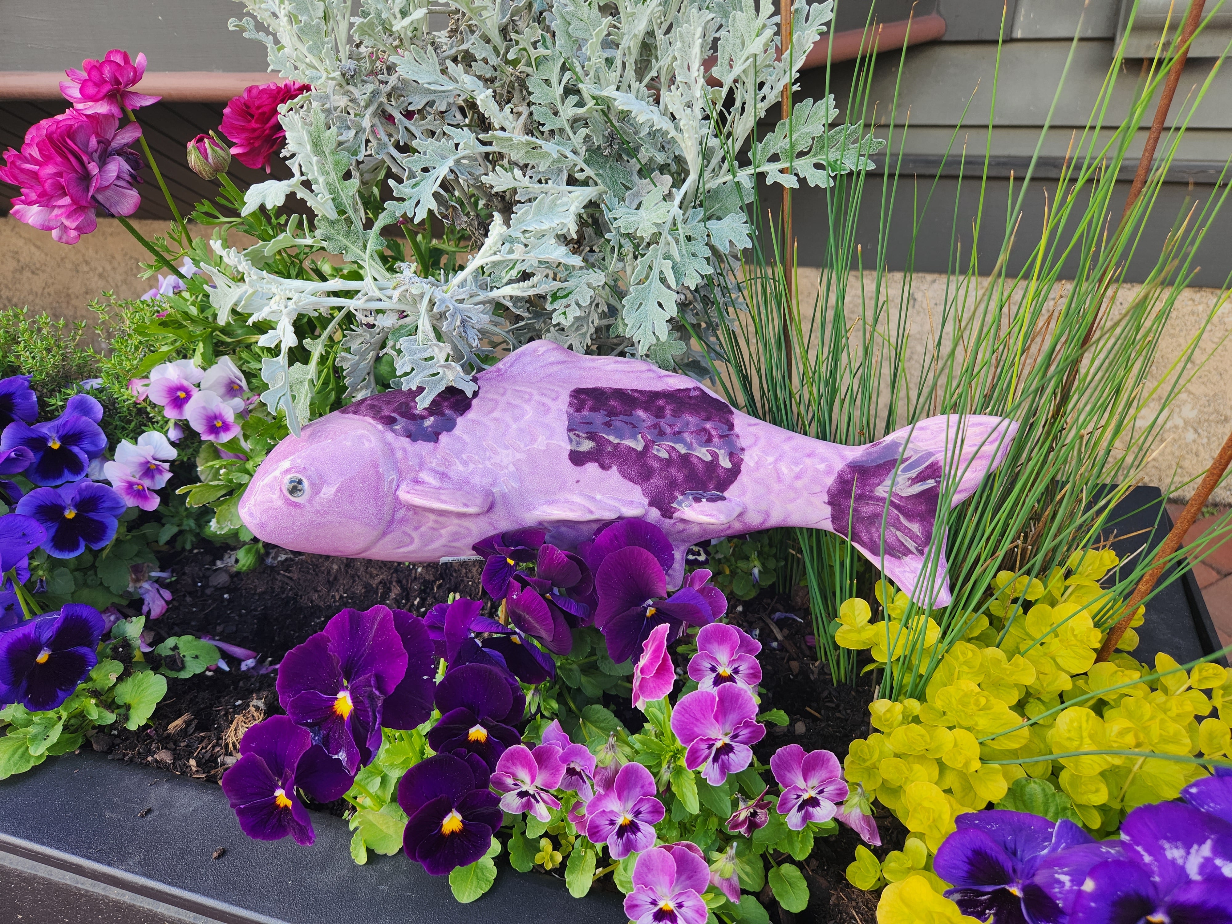 Taro Purple Garden Koi - Heart of the Home LV