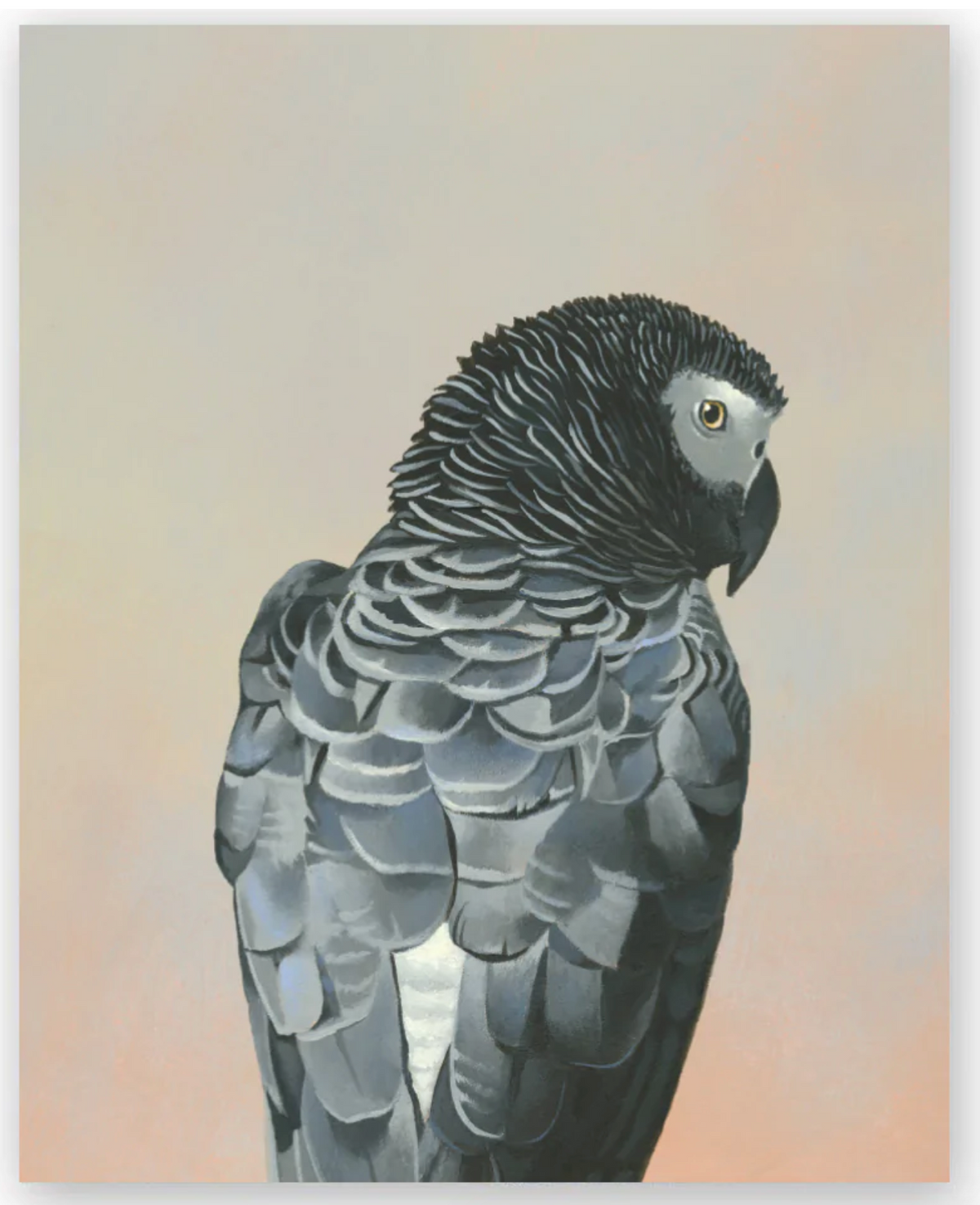 African Grey Parrot Wall Art - Heart of the Home LV