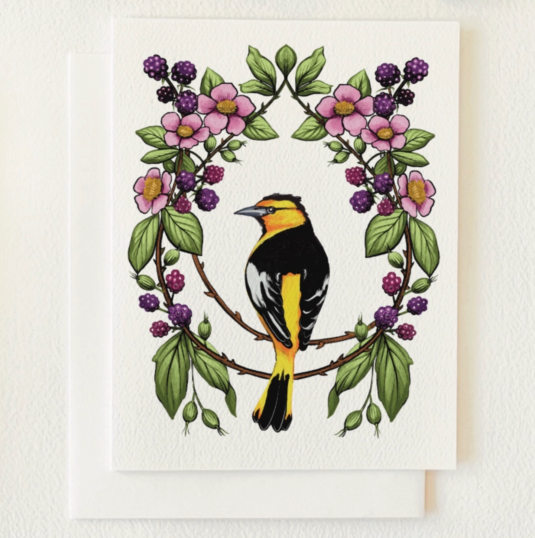 Oriole & Black Raspberries Blank Card - Heart of the Home Inc