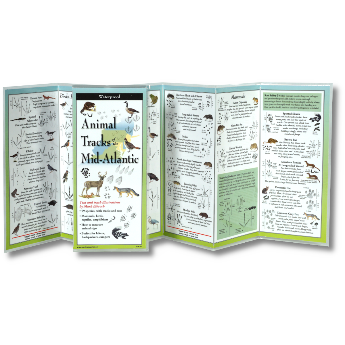 Foldable Guide to Animal Tracks of the Mid-Atlantic - Heart of the Home LV
