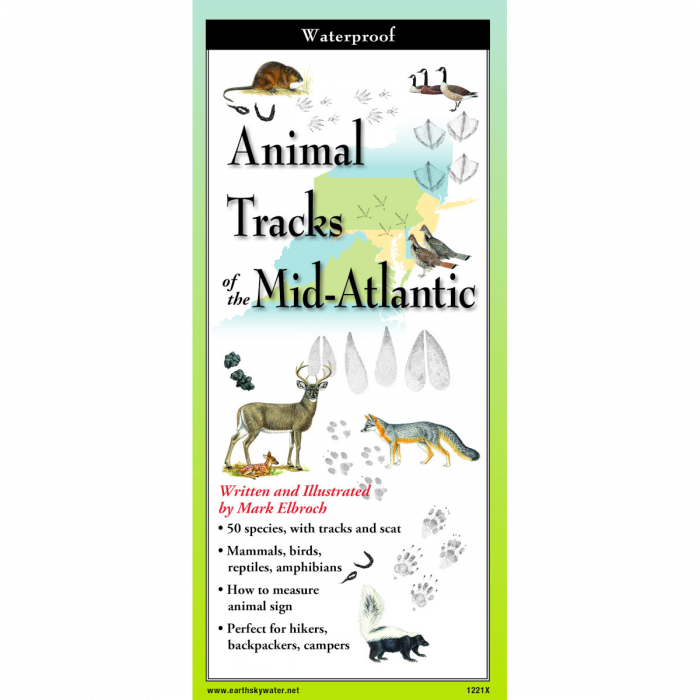 Foldable Guide to Animal Tracks of the Mid-Atlantic - Heart of the Home LV