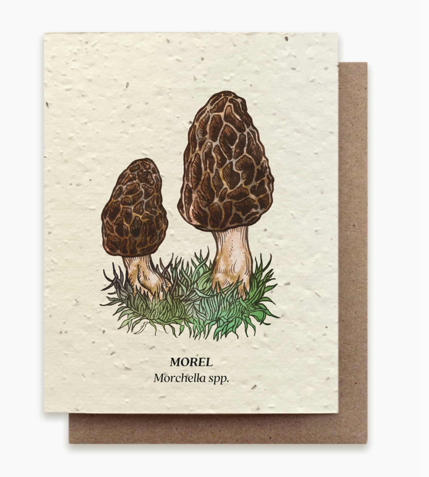 Morel Mushroom Plantable Wildflower Seed Card - Heart of the Home LV