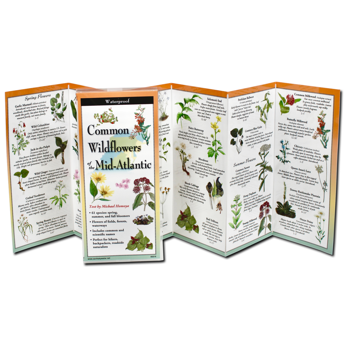 Foldable Guide to Common Wildflowers of the Mid-Atlantic - Heart of the Home LV