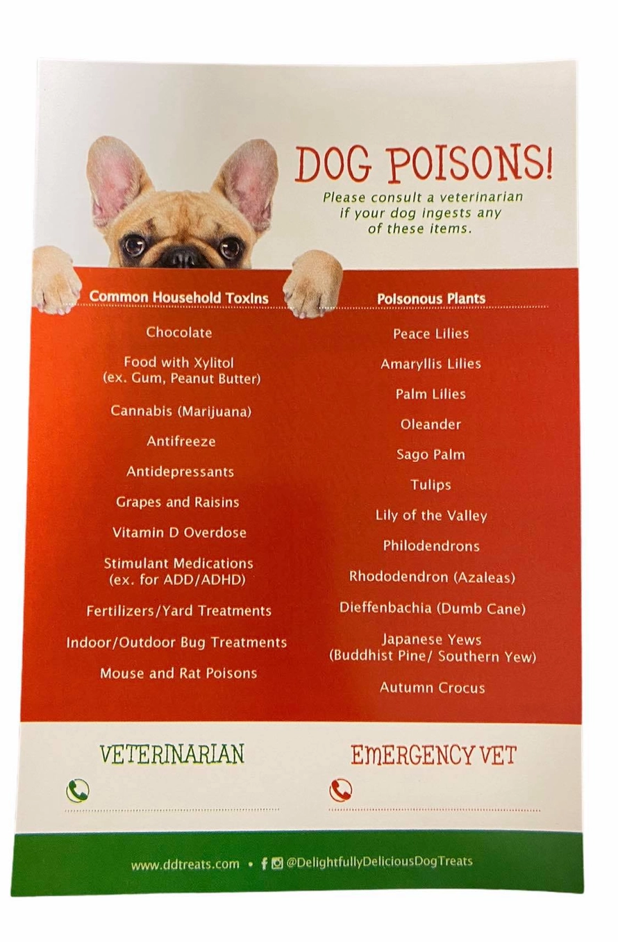 Dog Poisons Fridge Magnet - Heart of the Home Inc