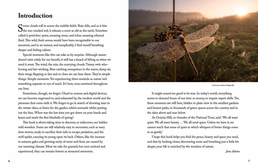 Nature’s Wonders: Moments that Mark the Seasons - Heart of the Home Inc