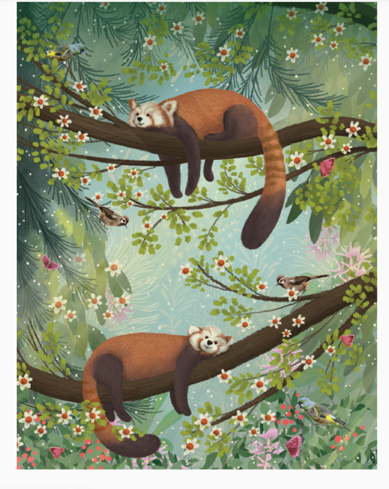 Relaxing Red Pandas Birthday Card - Heart of the Home Inc